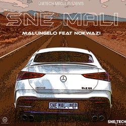 Sne Mali (feat. Nokwazi)