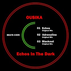 Echos in the Dark