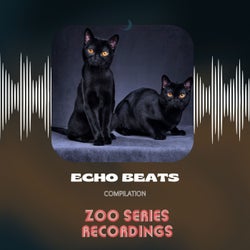 Echo Beats