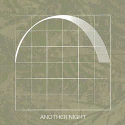 Another Night (feat. Deidre & the Dark)