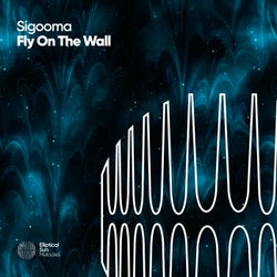 Fly On The Wall