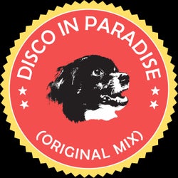Disco In Paradise