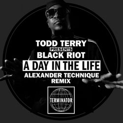 A Day In The Life (Alexander Technique Remix)