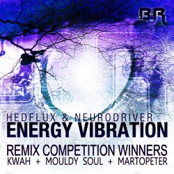 Energy Vibration Competition Winners