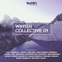 Winter Collective 01