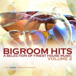 Bigroom Hits Volume 2