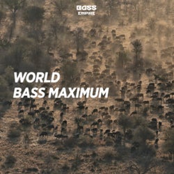 Bass Maximum