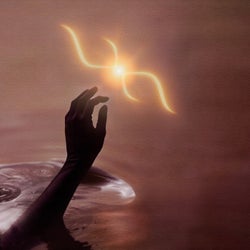Liminal Bloom