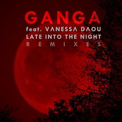 Late into the Night Remixes