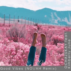 Good Vibes (feat. Kimberly June)