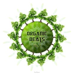 Organic Beats Vol.1