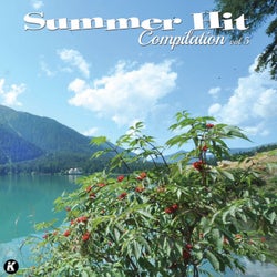 Summer Hit Compilation, Vol. 5