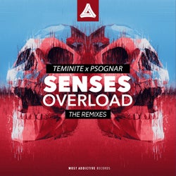 Senses Overload (The Remixes)