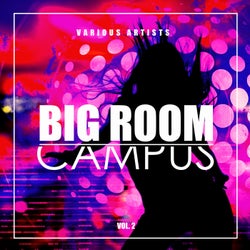Big Room Campus, Vol. 2