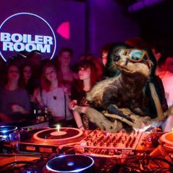 Hive Boiler Room