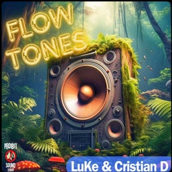 Flow Tones (Original Mix)