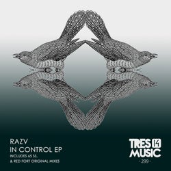 IN CONTROL EP