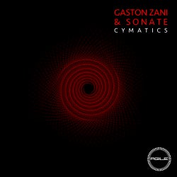 Gaston Zani Cymatics Chart