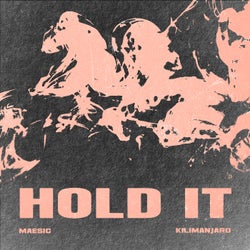 Hold It (Extended Mix)
