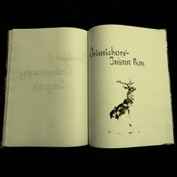 In'sna Run