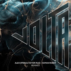 Human Robot Remixes