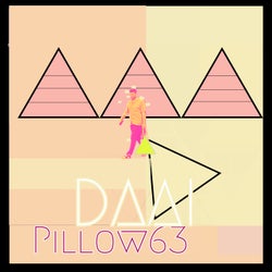Pillow63