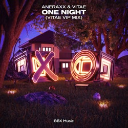 One Night (Vitae VIP Mix)