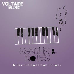 Synths And Notes 6.0