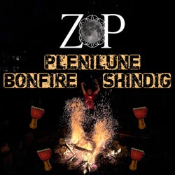 Plenilunebonfireshindig