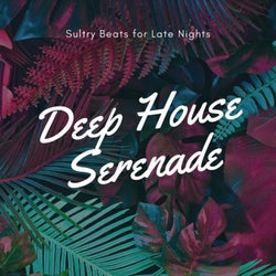 Deep House Serenade: Sultry Beats for Late Nights