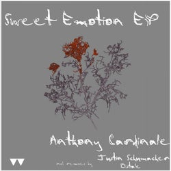 Sweet Emotion EP