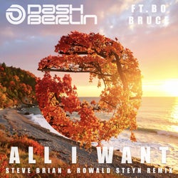 All I Want (feat. Bo Bruce) [Steve Brian & Rowald Steyn Remix]