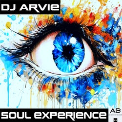 Soul Experience