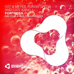 Fortress (Remixes)
