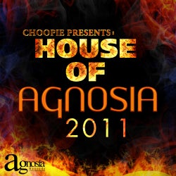 House Of Agnosia 2011