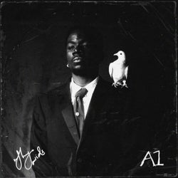 A1