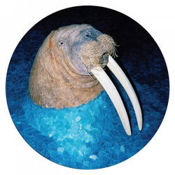 The Walrus EP