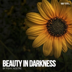 Beauty Darkness
