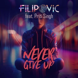 Never Give Up (feat. Priti Singh)