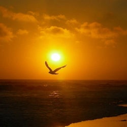 The Dawn Will Take You Away