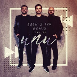 Unu (Sasu & Ivo Remix Extended)