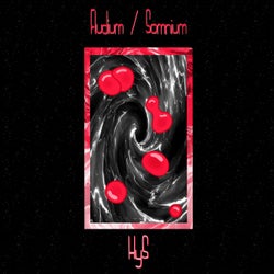 Fludium / Somnium