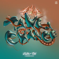 Take A Chance - CASSIMM Extended Remix