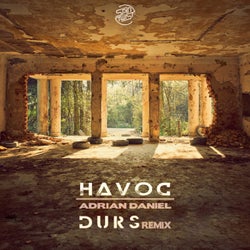 Havoc (Durs Remix)