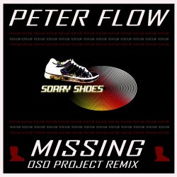 Missing (Oso Project Remix)