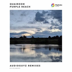 Purple Reach (Audioguyz Remixes)