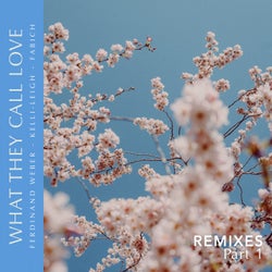 What They Call Love Remixes, Pt. 1 (Extended)