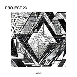 Project 23