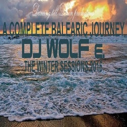 DJ WOLF e.'s TOP TEN TRACKS of FEBRUARY