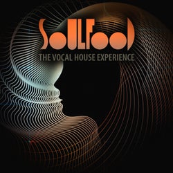 Soulfood: the Vocal House Experience